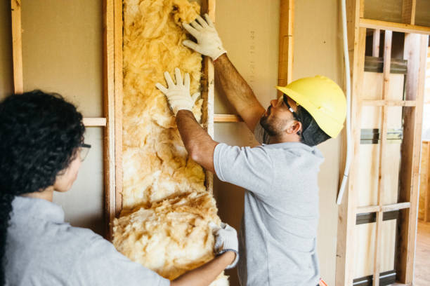 Insulation Inspection Services in Moyie Springs, ID